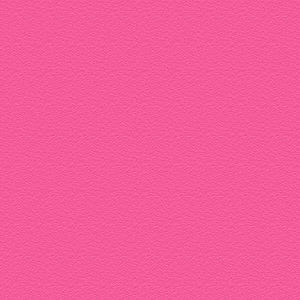 Meet your Posher, Bryce